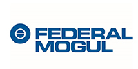 federal m